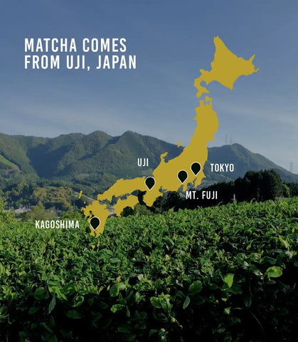 Organic Ceremonial Grade Matcha